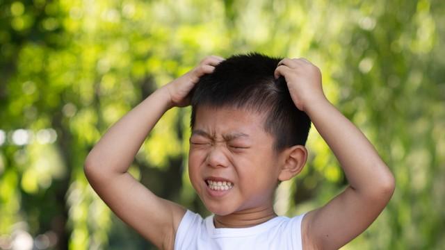 跟孩子赌气？其实是家长的“情绪脑”先输了