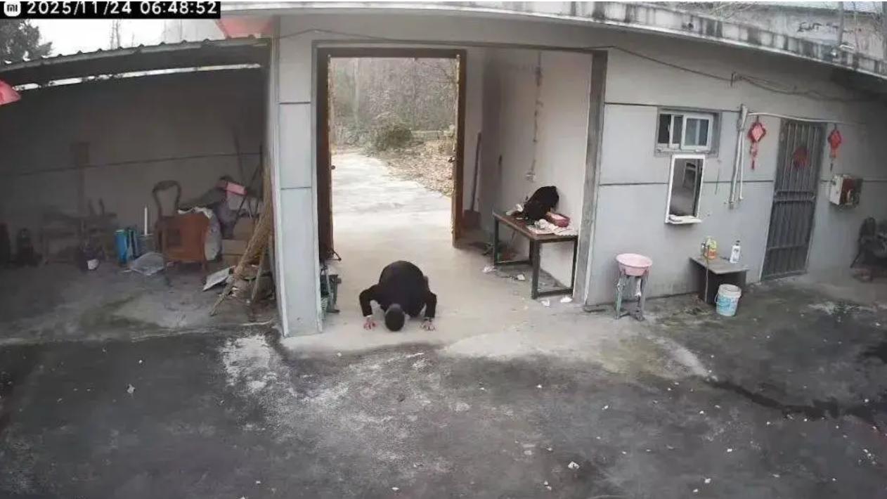 老宅还在，家没了。这是每个游子终要面对的真相