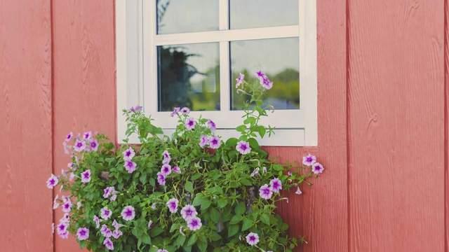 经历伴侣背叛后，还能好好过日子的人，大多都是这样做的