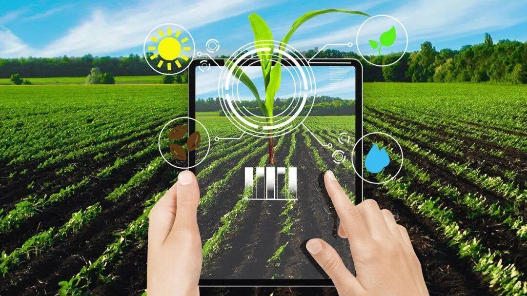 从传统到智能：数字农业的颠覆性革命