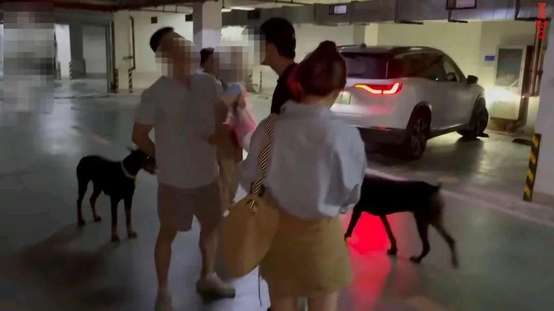 非得咬出血才算犯法？违法者如此猖狂，是对守法者最大的伤害