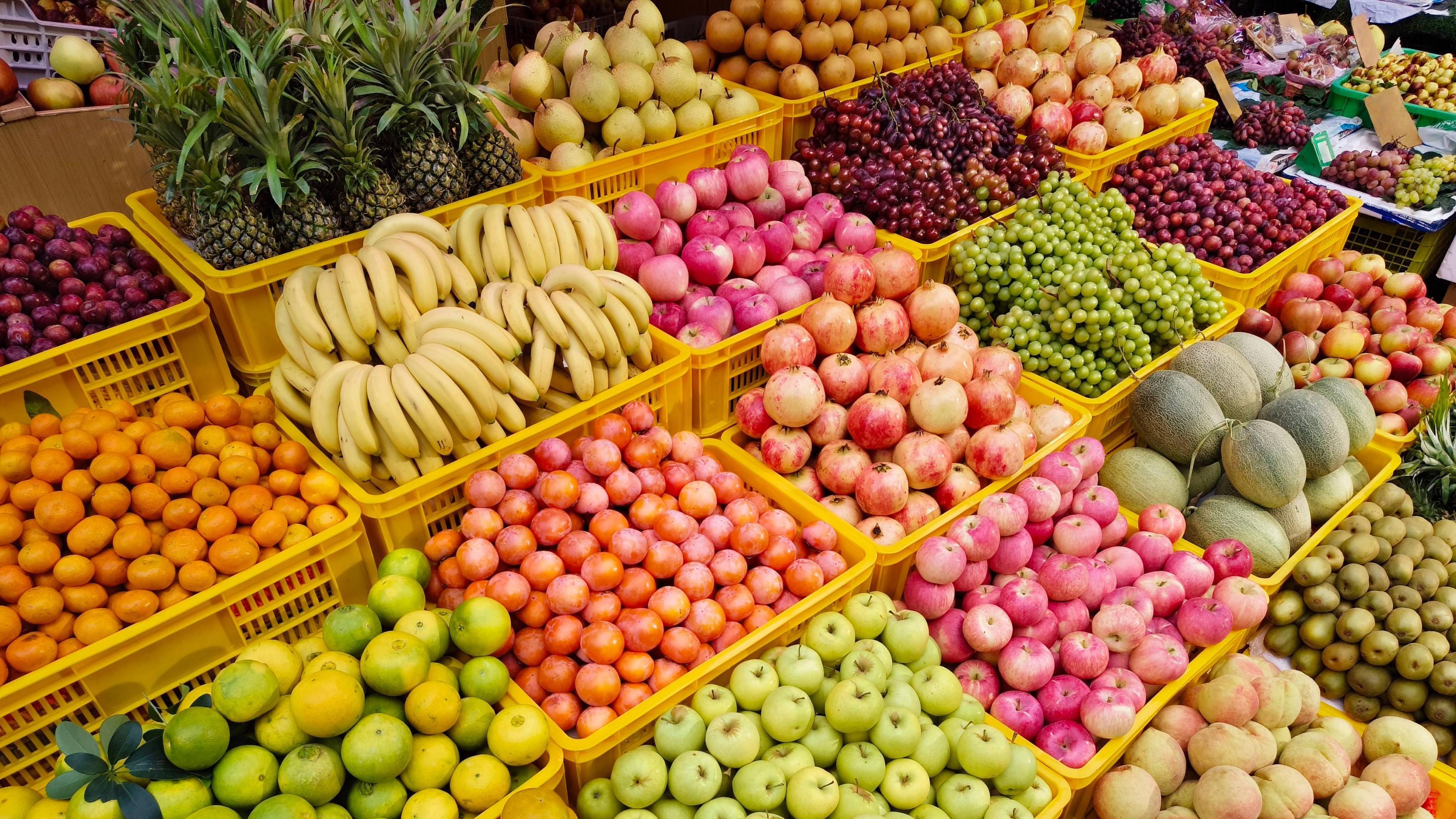 vivo Y500 Pro样张赏析：2亿像素超清晰，支持水下摄影