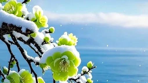 孤寡老人离世，村长顶棺，书记扛幡，60后披麻戴孝，全村人送行