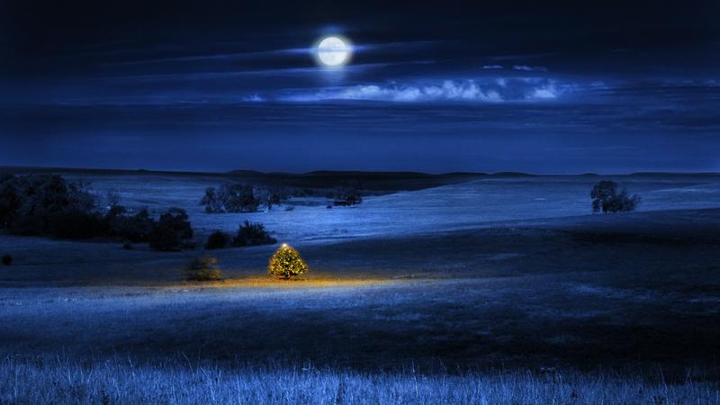 别人大手大脚花钱，最后有父母安排，你却一无所有！