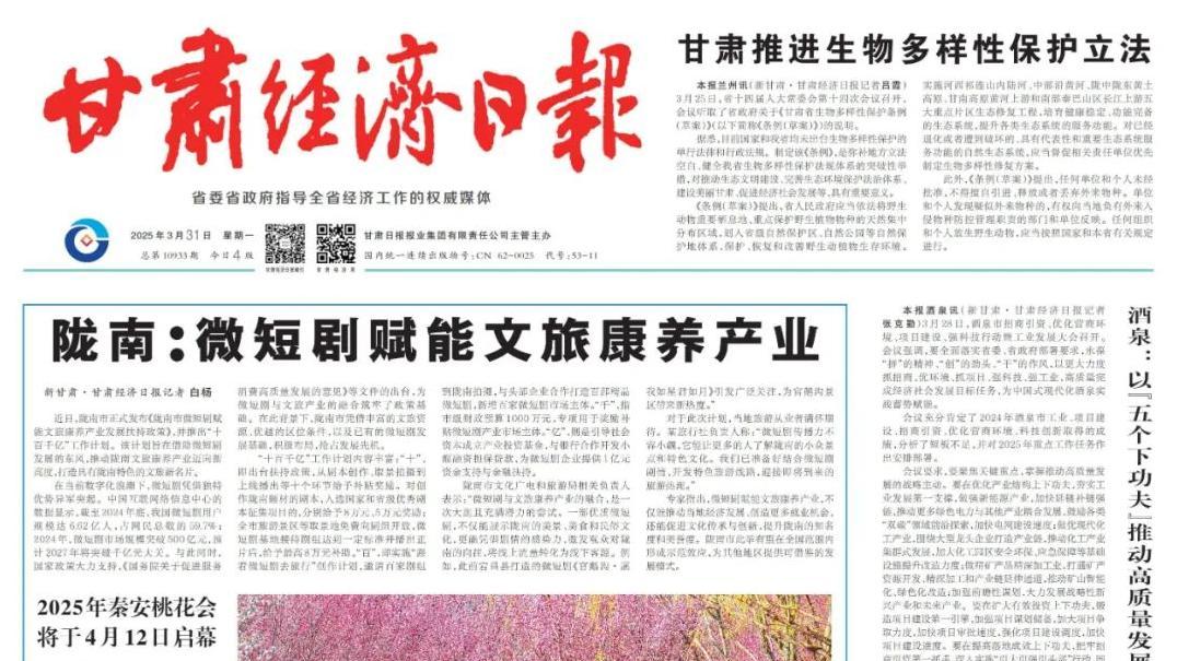 2025春风行动：年轻人就业机会大揭秘