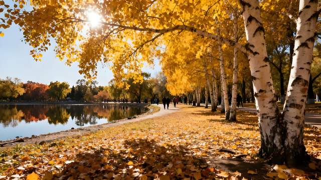 赤橙金翠漫山赋，异域风情一城诗 —— 哈尔滨秋日漫游纪行