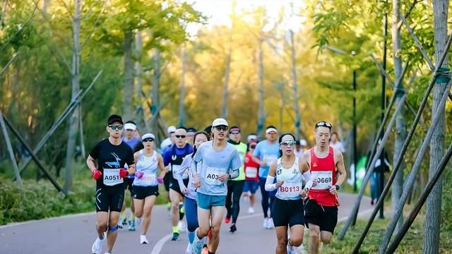 运动耳机怎么选不踩雷？十款佩戴稳固功能强大的运动耳机值得入手