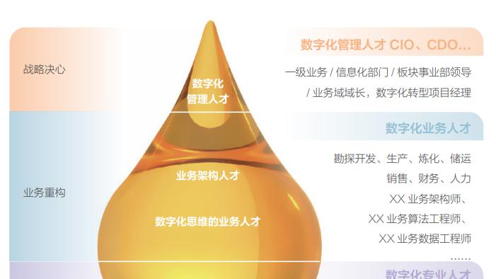 《石油石化行业数字化人才发展白皮书》深度解读：数字化人才发展新路径、新标准、新模式与新探索
