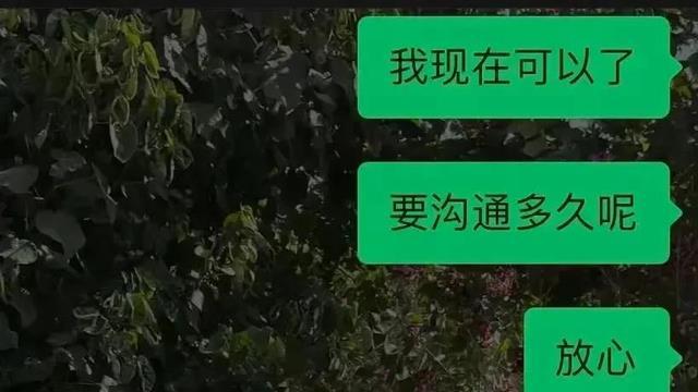 张大大不但殴打工作人员，连直播也是剧本