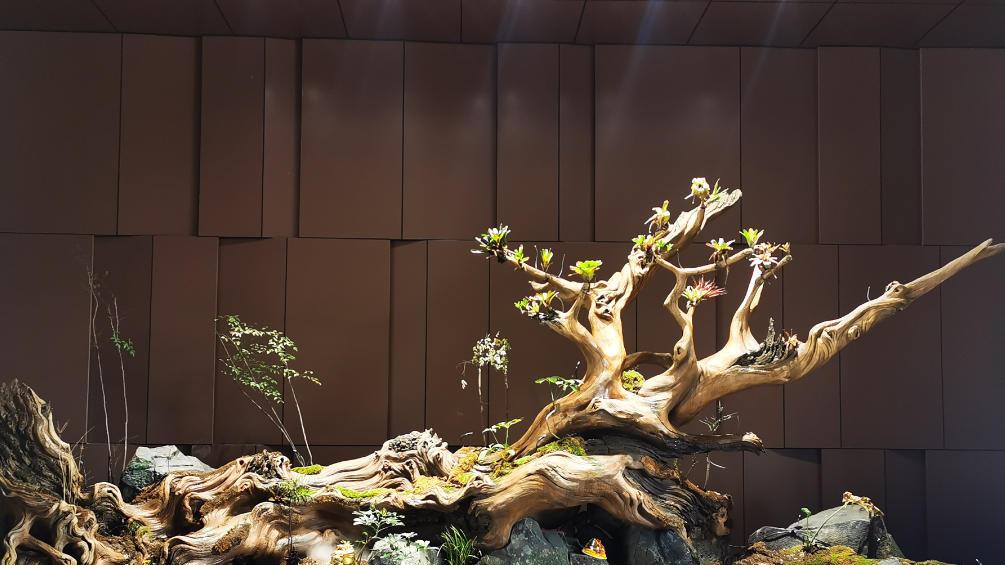 关于《中国政法大学教授罗翔：吸毒是否入刑需要具体问题具体分析》一文的不同意见