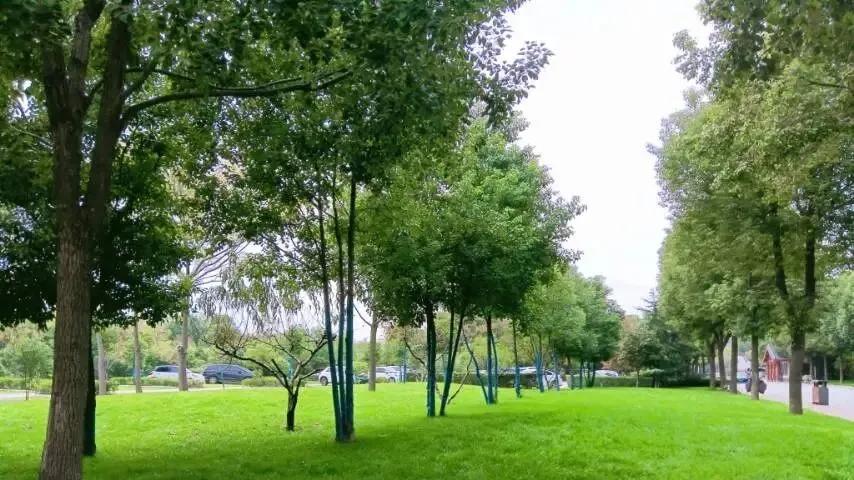 随笔：且行且安然