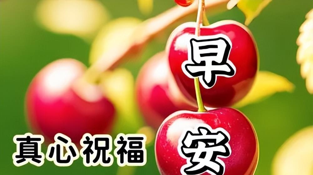 今天最新版早上好带字唯美图片，顶级精辟早安短句，愿你健康长寿