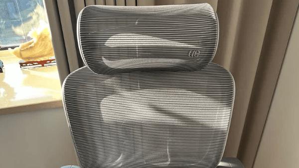 人体工学椅哪个牌子好用？夏草木、西昊、永艺热门人体工学椅硬核横评