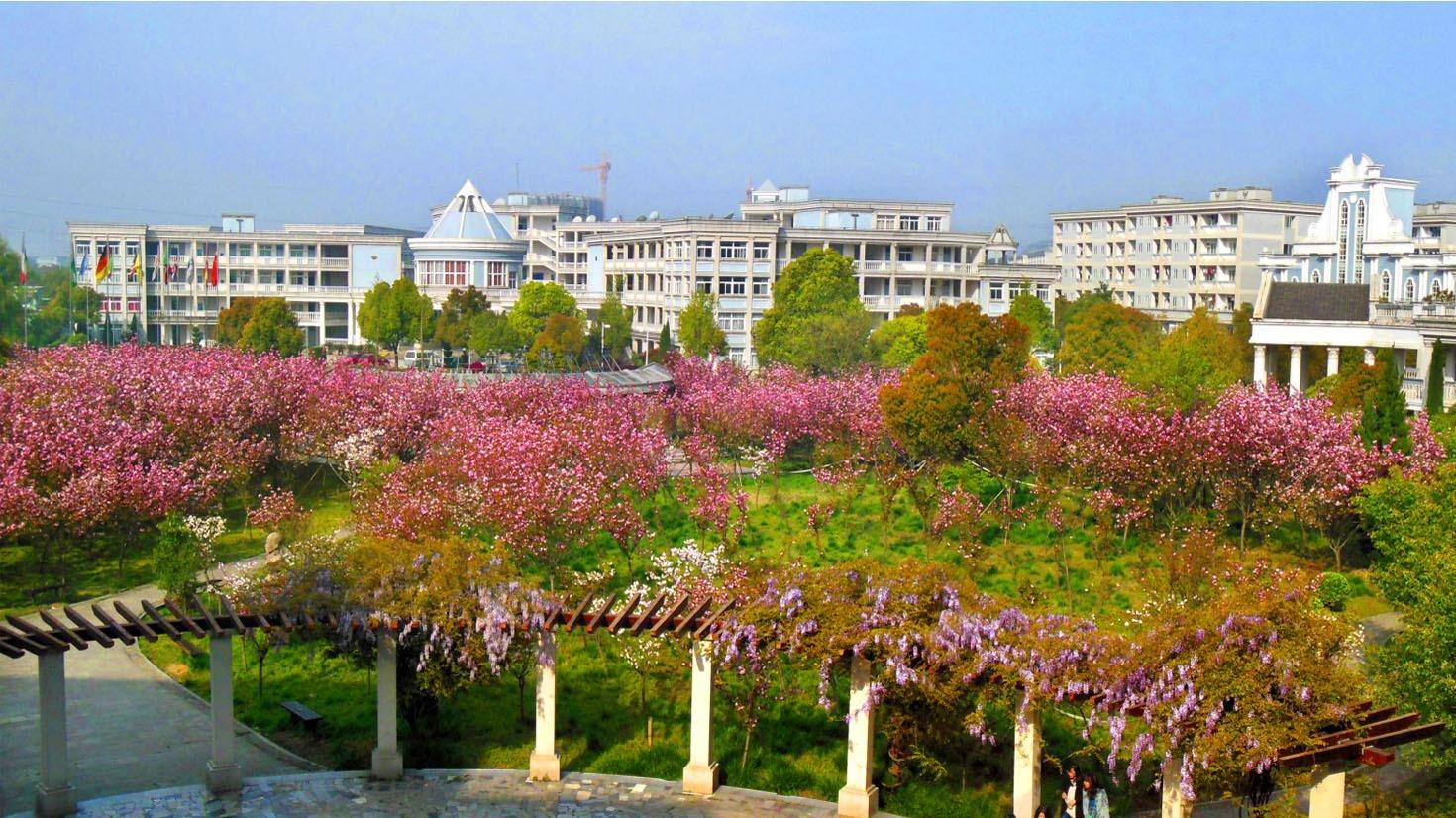 浙江越秀外国语学院2025年高层次人才引进公告