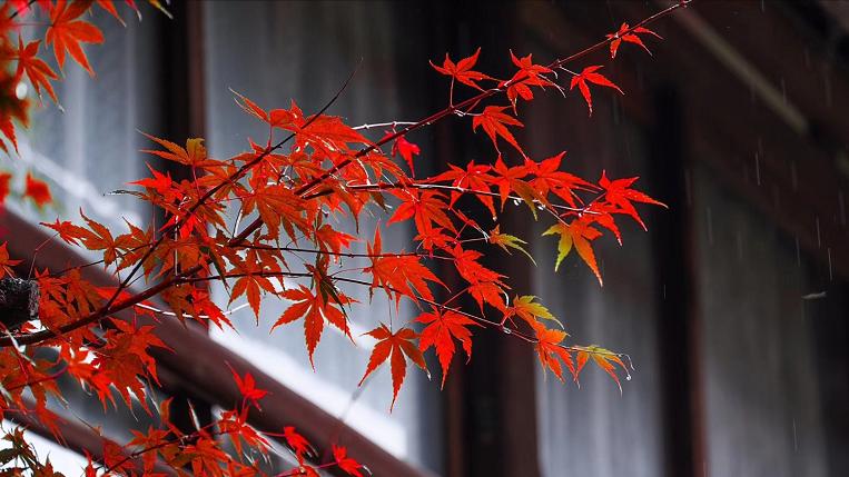 人生感悟：为学日益，为道日损