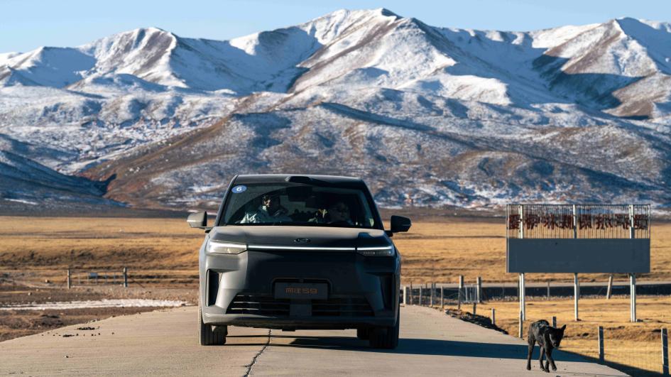 这才是真正的“诗和远方”该有的样子