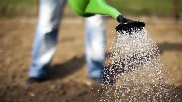 人工贵、雇不到人？2026年高效农场都在用的“懒人施肥法”