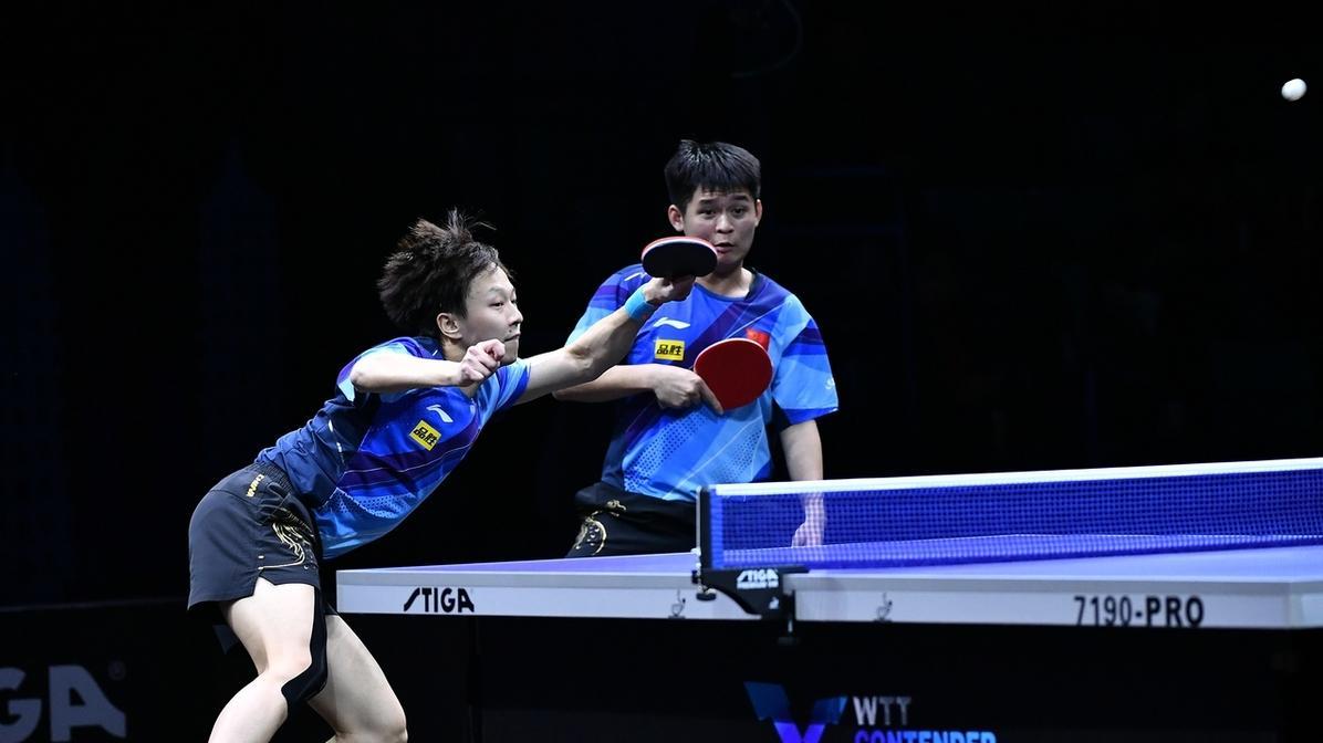 樊振东18岁时有“龙獒”陪伴，林诗栋19岁身后却空无一人，这是怎么回事？
