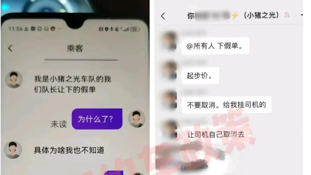 别闹了！“小猪之光”集体扎针坑同行？司机: 队长让我下的，不下不让跑。