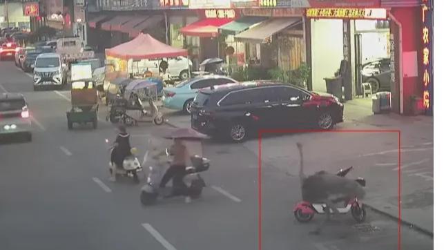 街头惊现“鸵鸟逛菜场”！淡定穿梭摊位引人围观，民警联手群众安全护送