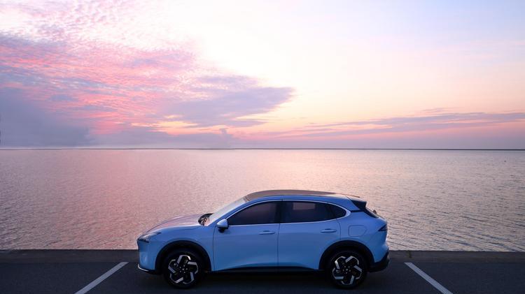 现在的互联网真真假假太难分辨，汽车销量也已经不可信了！