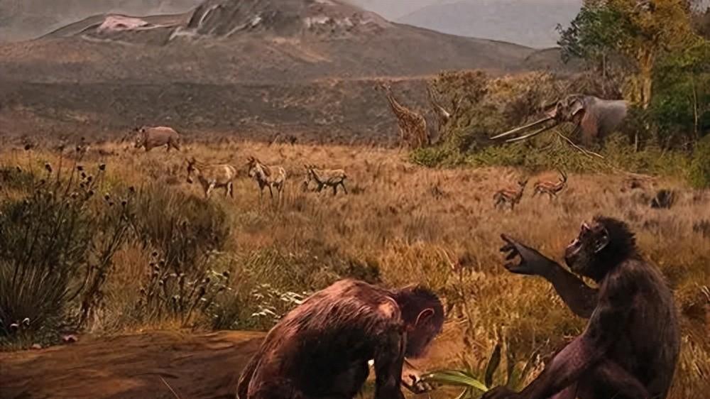 人类的发源地是在非洲？