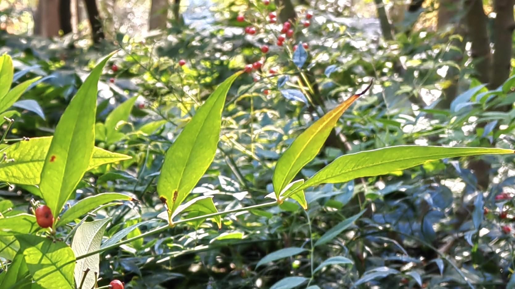 工作有节奏，却总被打断？有谱就不乱