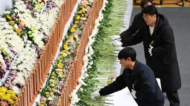 遗体腐烂，冷冻设备没装好，韩家属痛哭：两天了，只看到推卸责任