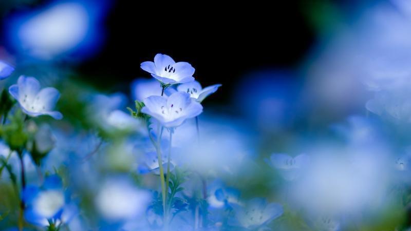 四句话，凭什么点醒你？说说你的故事。