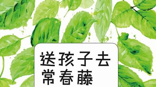 拒绝 “削足适履”：家教书可以读，但别硬套孩子的人生——路边小石的阅读分享之四十七