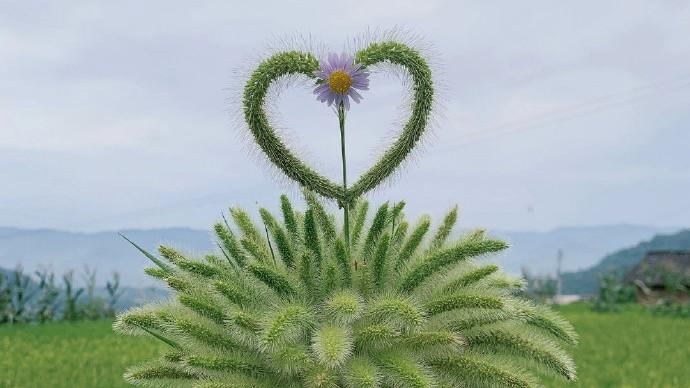 十一月超级经典的人生感悟句子精选，精辟现实，句句穿心！