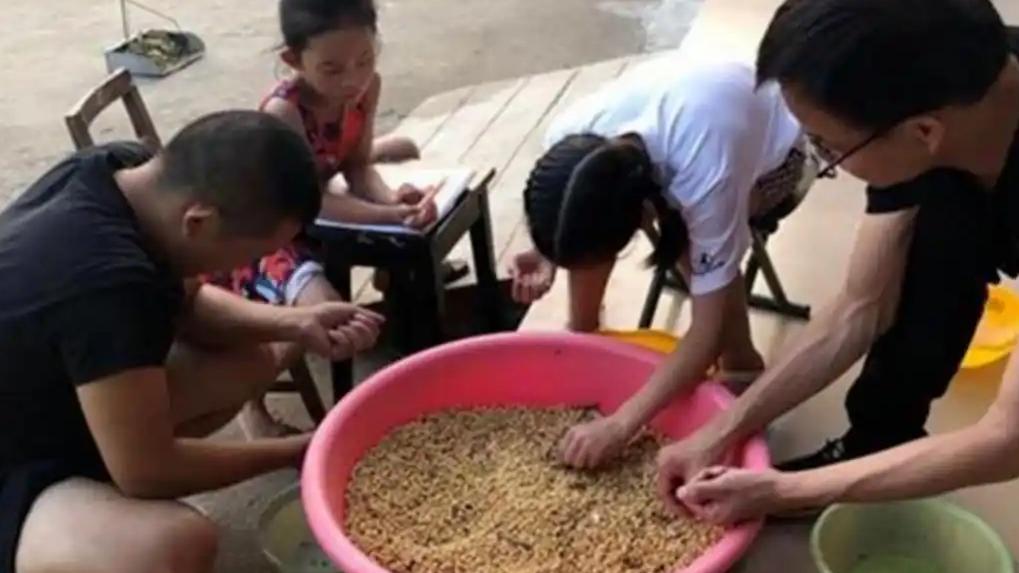 老师要求“数一万颗豆子”，全家熬到凌晨，妈妈质问老师后愣住了