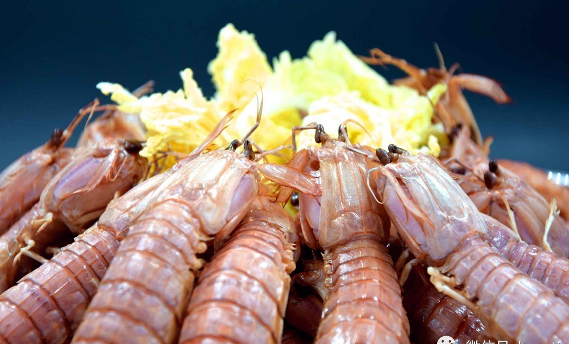 皮皮虾抗菌处理，臭氧水净化系统，浙江专利，保鲜期延长