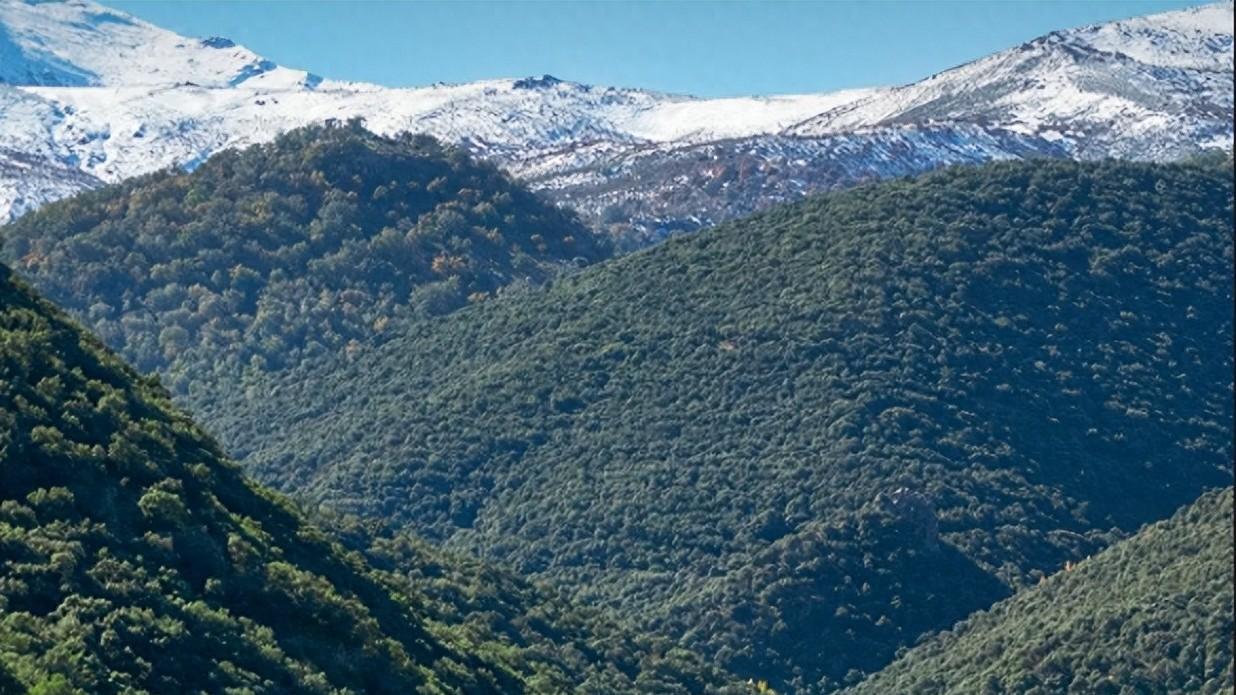 2025 热门好用的小程序制作平台报告！深度测评