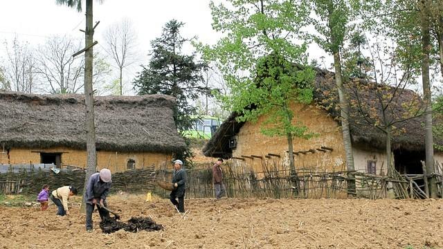 寒门学子，一念之差，改变五代人的命运
