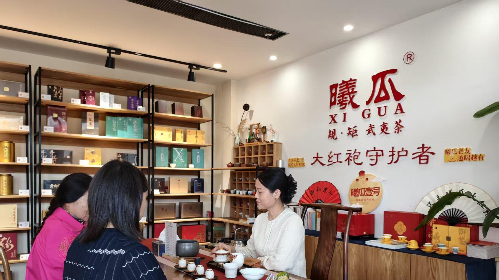 茶香里的茶花仙子——姜之梅与她的茶世界