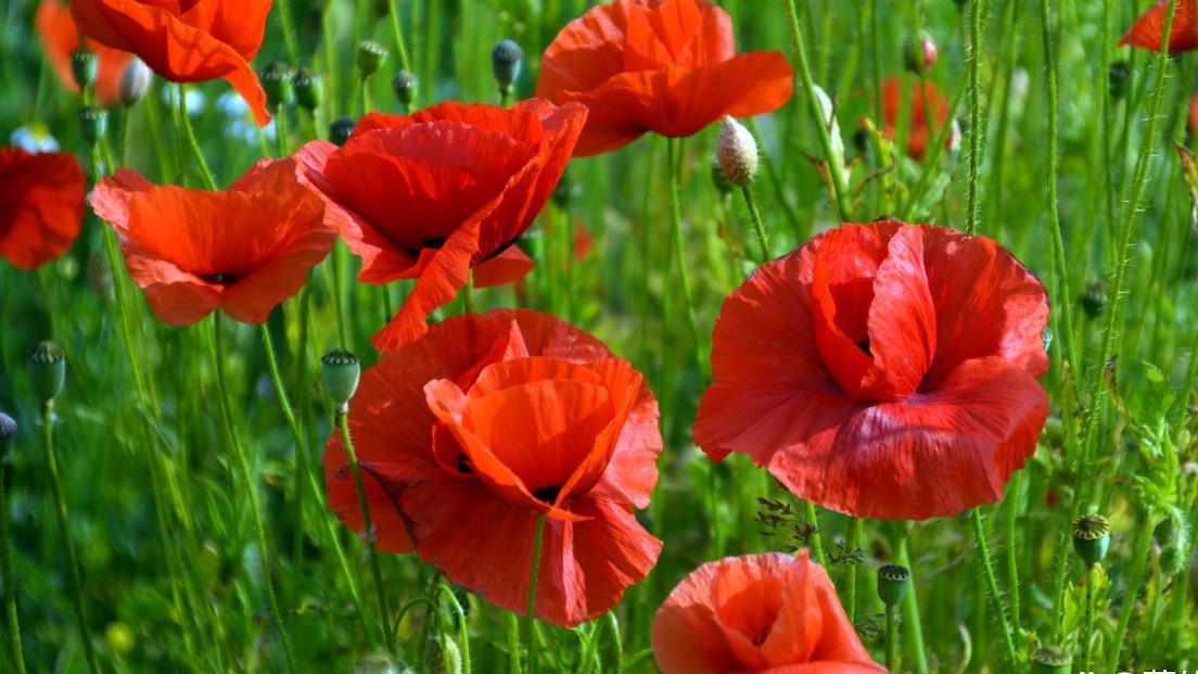 人生走到一定阶段，你会明白：不必再讨好任何人。