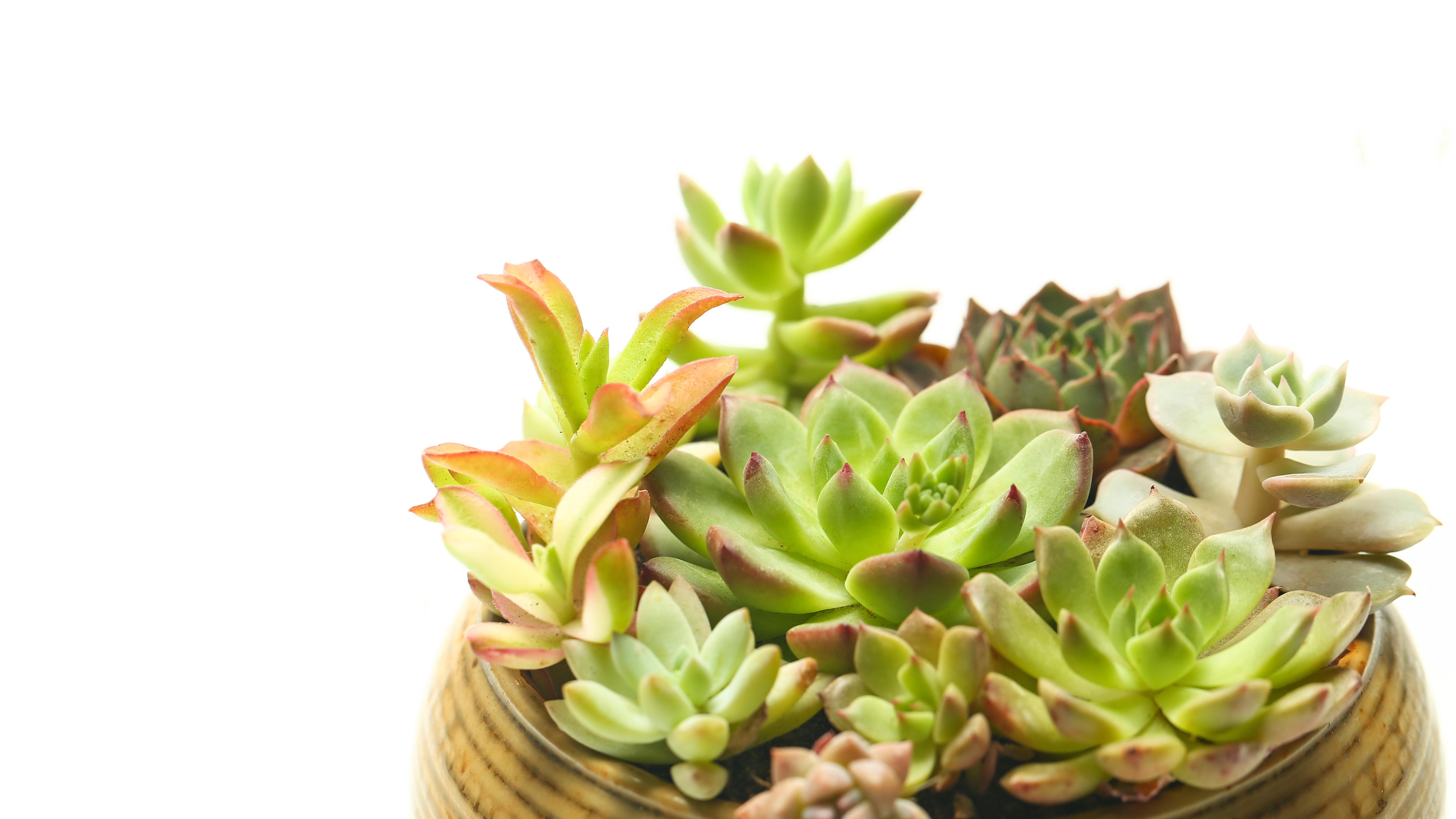 2026年的风，往哪儿吹？