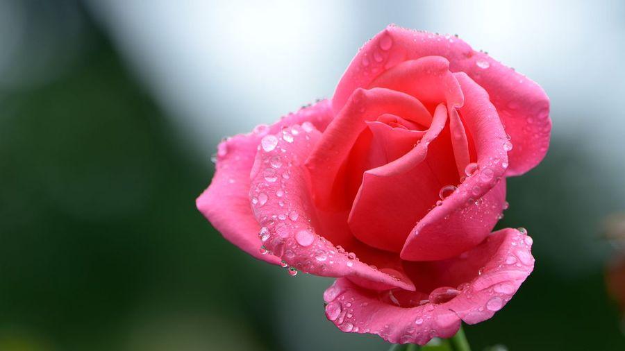 与人相处，别解“弦外之音”