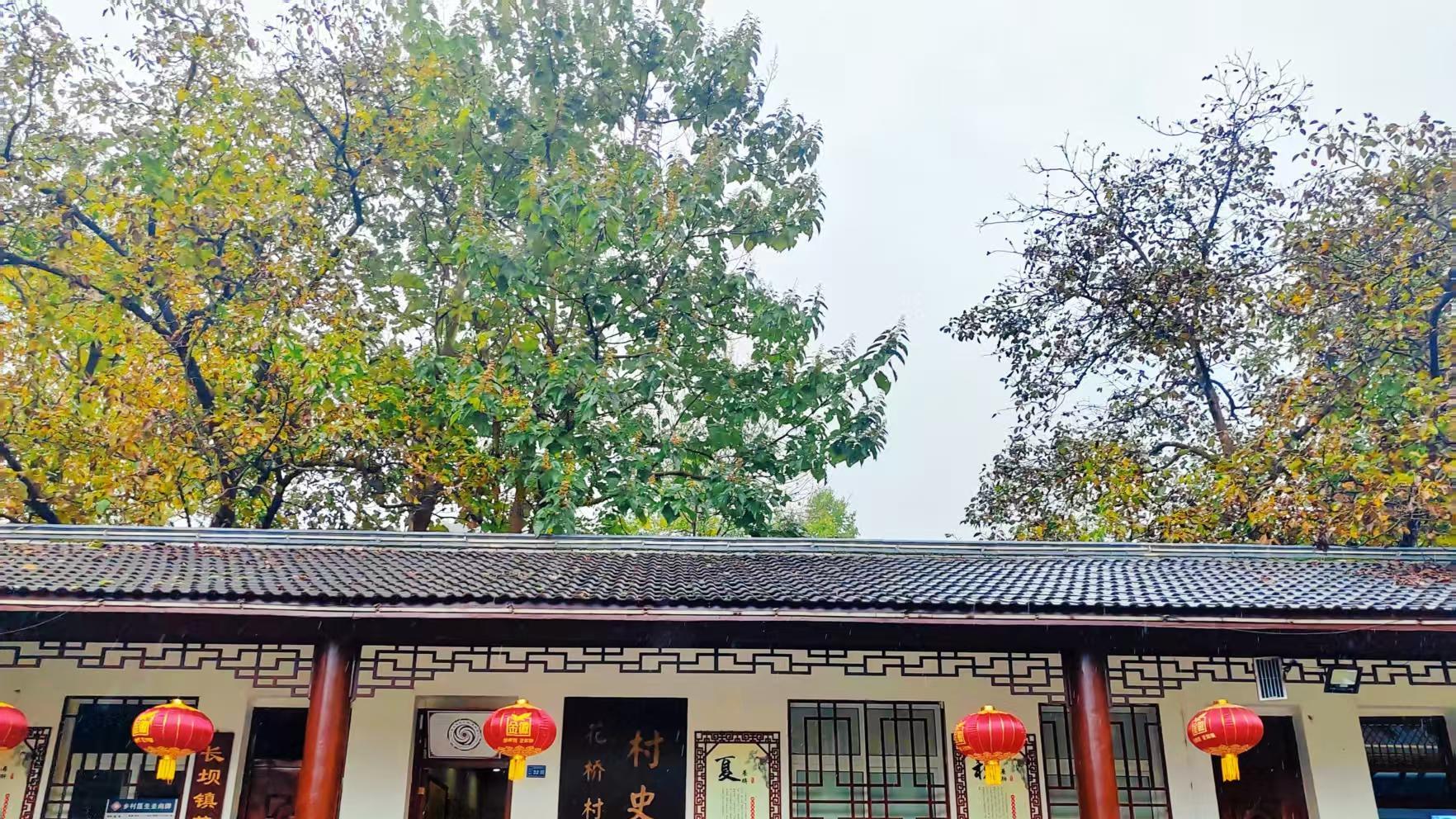 陇原赏秋一日跨两境：康县绿韵映西和丹霞，陇南乡村游见互补之美