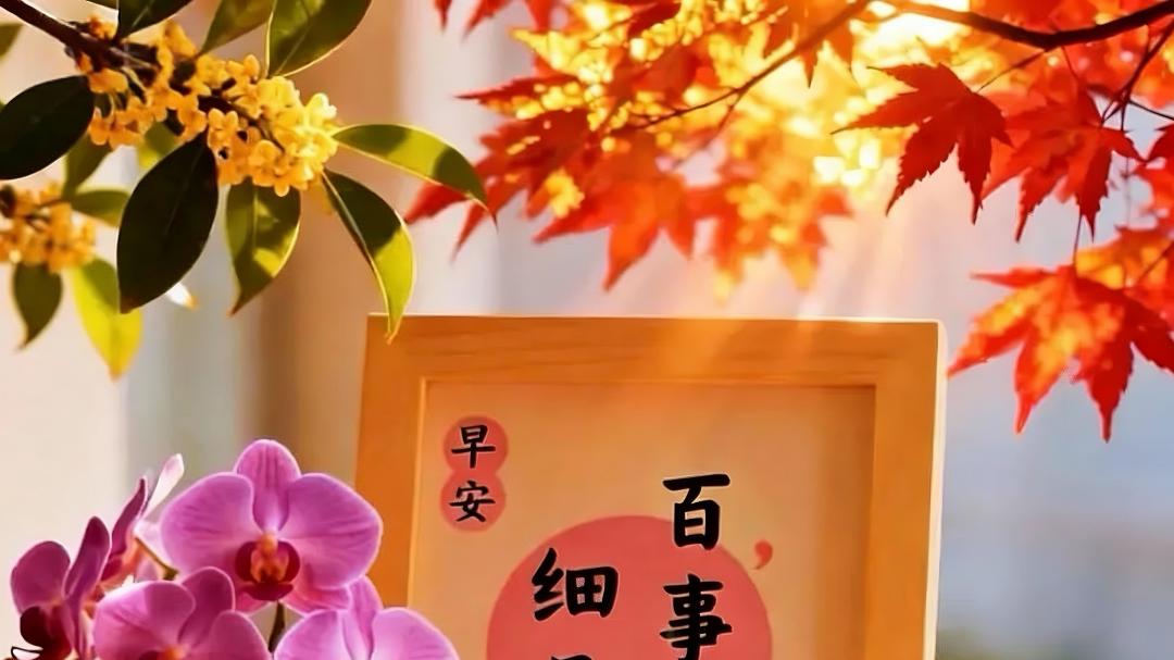 2025年微信很火的一句话，渡人渡己