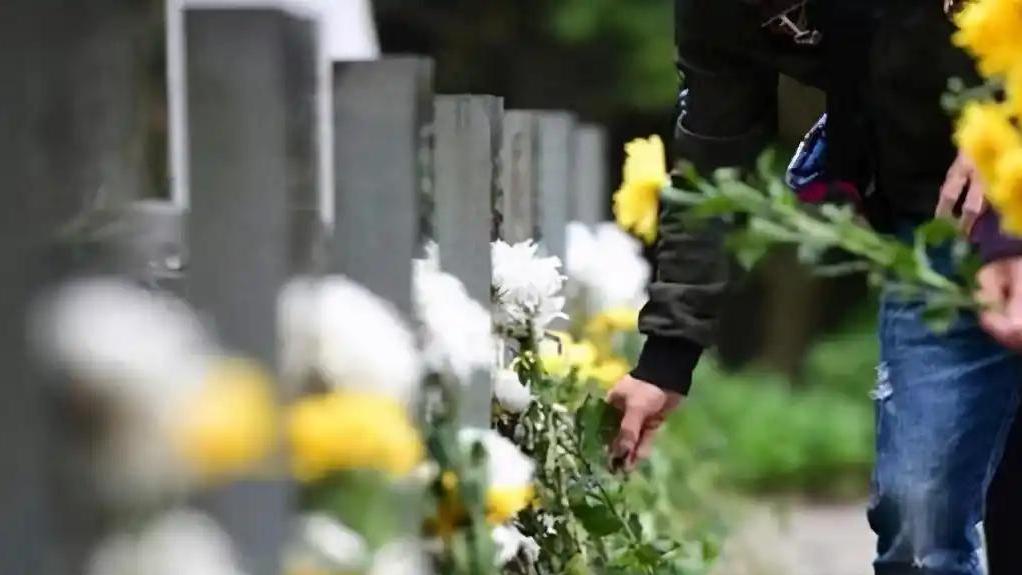 2025年清明遇双春，老人说上坟要注意，避开三件事：顺当一整年