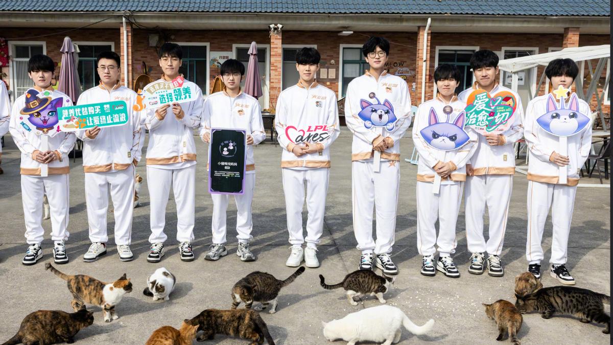 雷竞技资讯：IG官宣TheShy休息公开大名单，阵容真的心凉半截