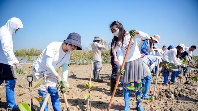 植苗固碳，守护蓝海：广汽本田构筑绿色生态未来