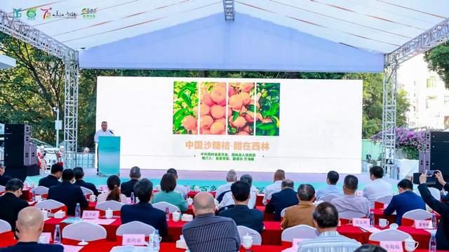 百香百色对接活动 粤桂情深共谋发展