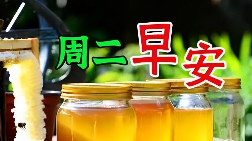 非常漂亮的早安问候图片，温馨祝福大全，日日都平安，天天都顺心