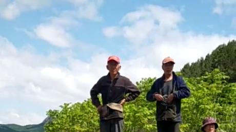 安乐村土地权属争议待解：村民合法诉求盼公正回应