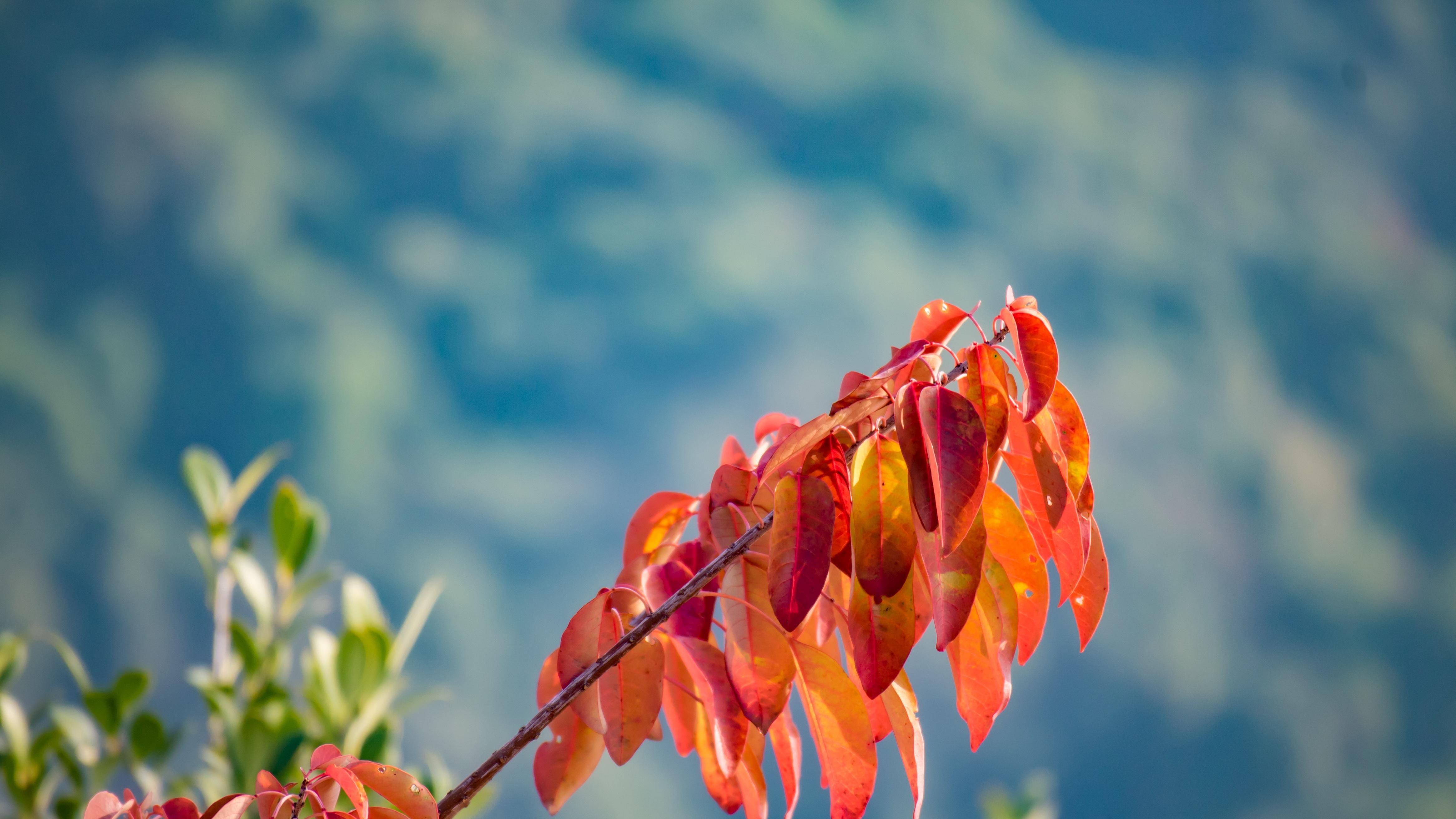 旧事已过，万物更新：生命的重启真义