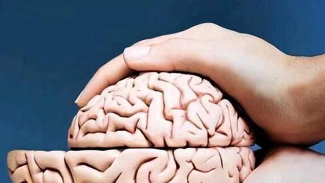 刚放下手机，忘了自己要做什么？可能是大脑向你发出警报—脑萎缩