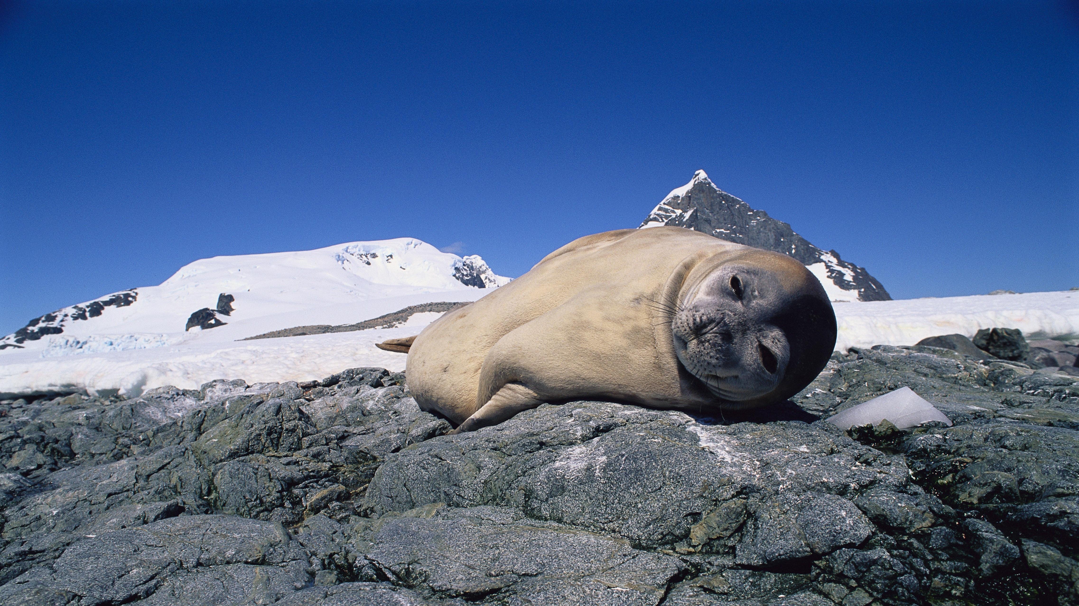 昨夜万亿蒸发，泡沫还是拐点？